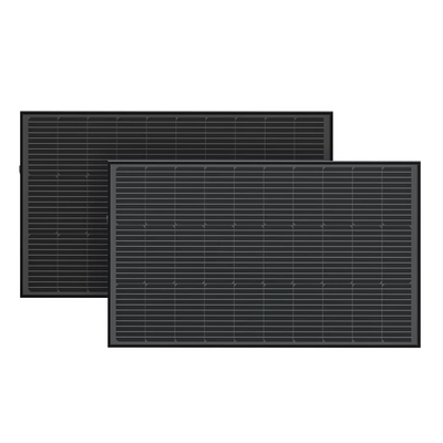 Набір сонячних панелей EcoFlow 2*100 Solar Panel (ZMS331) 00000261 фото