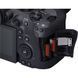 Беззеркальный фотоаппарат Canon EOS R6 Mark II kit (24-105mm) IS STM (5666C030) 00005806 фото 8