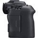 Беззеркальный фотоаппарат Canon EOS R6 Mark II kit (24-105mm) IS STM (5666C030) 00005806 фото 6