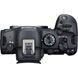 Беззеркальный фотоаппарат Canon EOS R6 Mark II kit (24-105mm) IS STM (5666C030) 00005806 фото 4