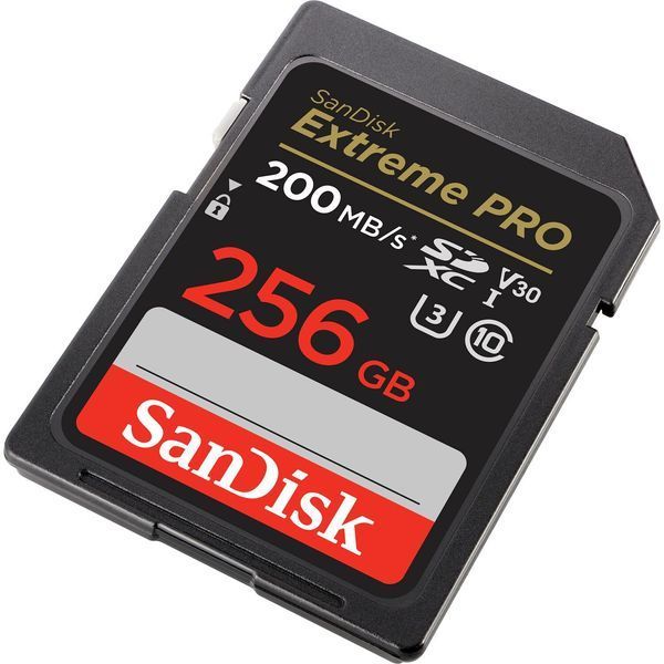 Карта памяти SanDisk 256GB SDXC UHS-I U3 V30 Extreme Pro (SDSDXXD-256G-GN4IN) 00006433 фото
