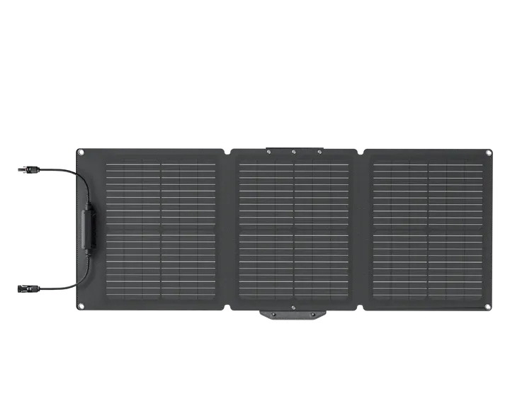 Солнечная панель EcoFlow 60W Solar Panel (EFSOLAR60) 00000252 фото