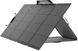 Солнечная панель EcoFlow 220W Solar Panel (SOLAR220W) 00000255 фото 3