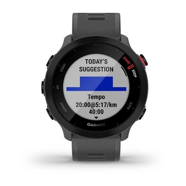 Часы беговые Garmin Forerunner 55 Monterra Grey 010-02562-13 00007640 фото