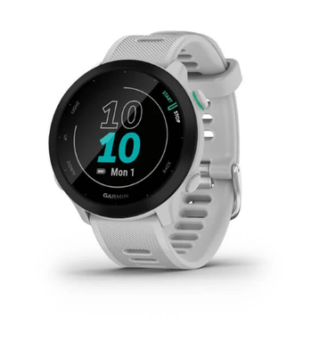 Часы беговые Garmin Forerunner 55 Whitestone 010-02562-11 00007641 фото