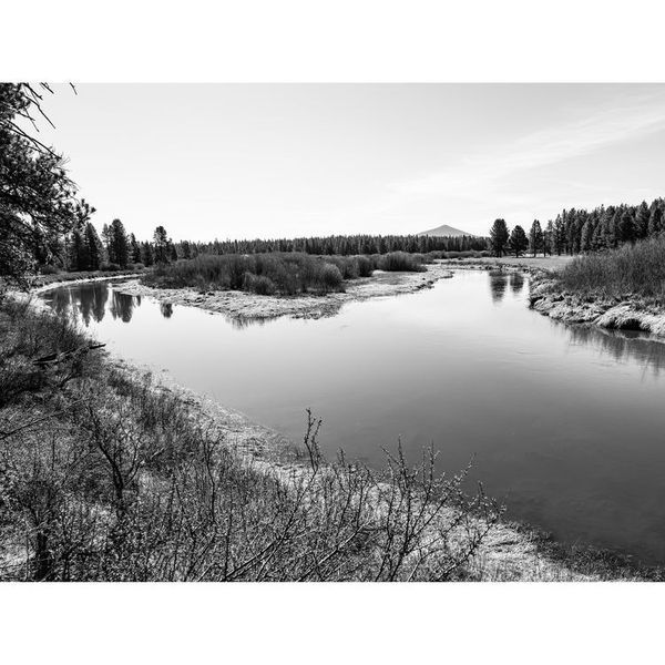 Беззеркальный фотоаппарат Panasonic Lumix S DC-S5 IIX kit S (20-60mm) (DC-S5M2XKEE) 00007888 фото