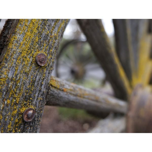 Беззеркальный фотоаппарат Panasonic Lumix S DC-S5 IIX kit S (20-60mm) (DC-S5M2XKEE) 00007888 фото